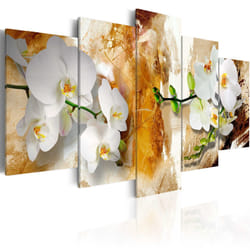 Tableau Brown Paint and Orchid - PD8943-200-100