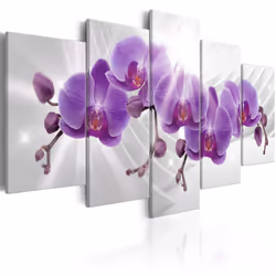 Planete Discount PD11163-200-100, Orchidées, Gris, Violet, Blanc, Panneaux MDF, 2000 mm, 20 mm, 1000 mm