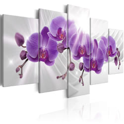Tableau Fleurs Abstract Garden: Purple Orchis - PD11163-200-100