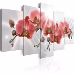 Planete Discount PD11164-200-100