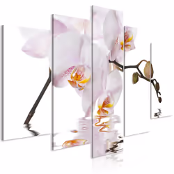Planete Discount PD11165-200-100, Orchidées, Vert, Rose, Blanc, Jaune, Panneaux MDF, 2000 mm, 20 mm, 1000 mm