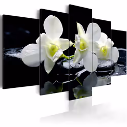 Planete Discount PD11167-200-100