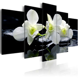 Tableau Fleurs Melancholic orchids - PD11167-200-100