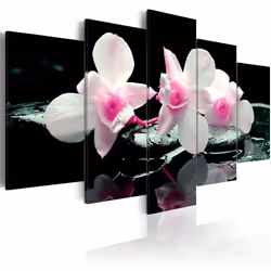 Planete Discount PD11168-100-50, Orchidées, Noir, Rose, Blanc, Panneaux MDF, 1000 mm, 20 mm, 500 mm