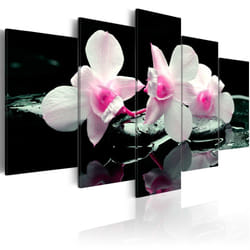 Planete Discount PD11168-100-50 tableau
