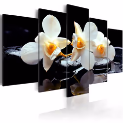 Planete Discount PD11169-200-100, Orchidées, Noir, Blanc, Jaune, Panneaux MDF, 2000 mm, 20 mm, 1000 mm
