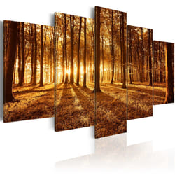 Tableau Amber forest - PD9914-200-100