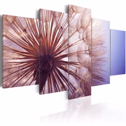 Planete Discount PD11171-100-50