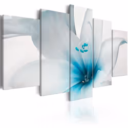 Planete Discount PD11176-100-50