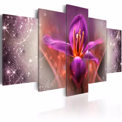 Planete Discount PD11204-100-50, Tulipes, Orange, Violet, Blanc, Panneaux MDF, 1000 mm, 20 mm, 500 mm