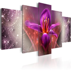 Planete Discount PD11204-100-50 tableau