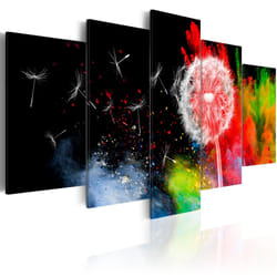 Planete Discount PD11207-100-50 tableau