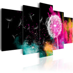 Planete Discount PD11208-100-50 tableau