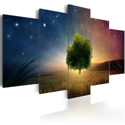Planete Discount PD9922-100-50 tableau