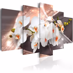 Planete Discount PD11211-200-100, Orchidées, Gris, Orange, Blanc, Panneaux MDF, 2000 mm, 20 mm, 1000 mm