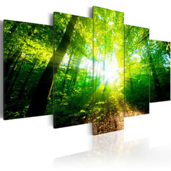 Tableau Wonderful Morning - PD9934-200-100