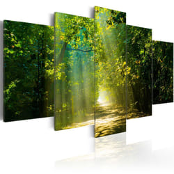 Tableau Sunshine Road - PD9935-200-100