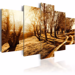 Planete Discount PD9944-100-50, Forêt, Panneaux MDF, 1000 mm, 20 mm, 500 mm