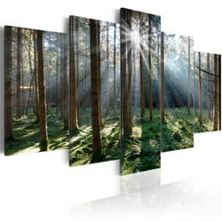Planete Discount PD9954-100-50 tableau