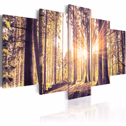 Planete Discount PD9958-200-100