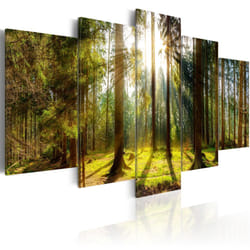 Planete Discount PD9962-100-50 tableau