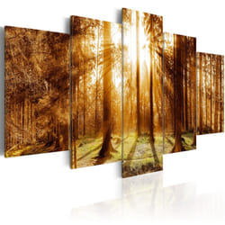 Tableau Forest Illumination - PD9963-200-100