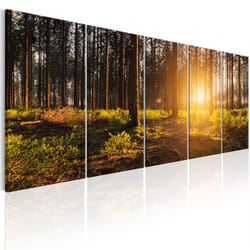 Tableau Summer Morning - PD9975-225-90