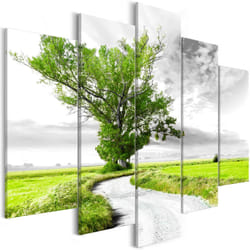 Planete Discount PD9980-100-50 tableau