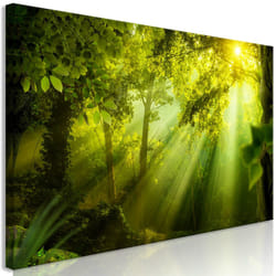 Planete Discount PD9989-120-40 tableau