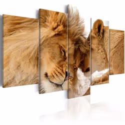 Planete Discount PD8225-200-100, Animaux divers, Marron, Blanc, Panneaux MDF, 2000 mm, 20 mm, 1000 mm