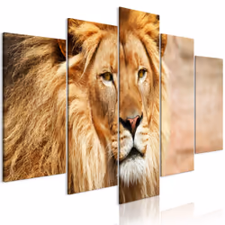 Planete Discount PD8242-200-100, Chats, Beige, Marron, Orange, Panneaux MDF, 2000 mm, 20 mm, 1000 mm