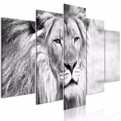 Planete Discount PD8243-200-100