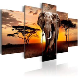 Tableau Elephant Migration - PD8250-200-100