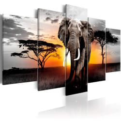 Tableau Elephant at Sunset - PD8251-200-100