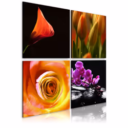 Planete Discount PD11237-80-80, Roses, Noir, Vert, Orange, Jaune, Panneaux MDF, 800 mm, 20 mm, 800 mm