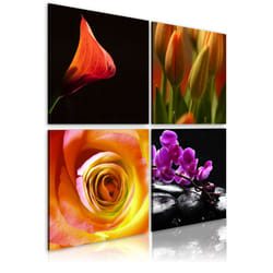 Planete Discount PD11237-80-80 tableau