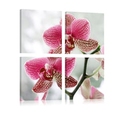 Planete Discount PD11240-80-80 tableau