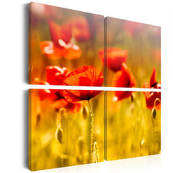 Planete Discount PD11242-80-80 tableau