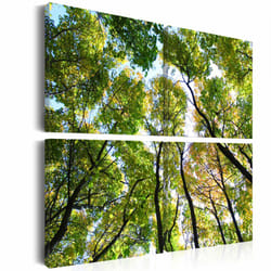 Planete Discount PD10020-40-40 tableau