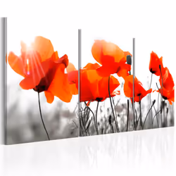 Planete Discount PD11252-120-60, Coquelicots, Gris, Orange, Panneaux MDF, 1200 mm, 20 mm, 600 mm