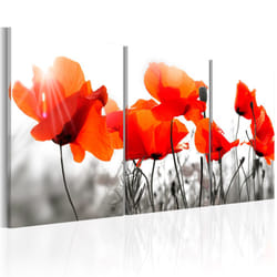 Tableau Fleurs Charming Poppies - PD11252-120-60