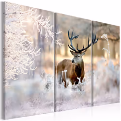 Planete Discount PD8313-120-80, Animaux divers, Beige, Marron, Gris, Blanc, Panneaux MDF, 1200 mm, 20 mm, 800 mm