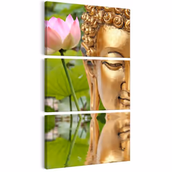 Planete Discount PD12588-60-120, Or, Vert, Rose, Panneaux MDF, 600 mm, 20 mm, 1200 mm