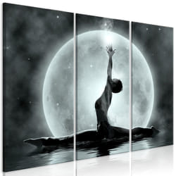 Planete Discount PD11887-90-60 tableau