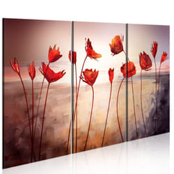 Tableau Fleurs Bright red poppies - PD11261-120-80