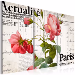 Planete Discount PD12412-120-80, Noir, Vert, Rose, Blanc, Panneaux MDF, 1200 mm, 20 mm, 800 mm