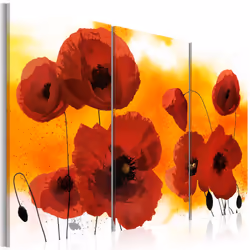 Planete Discount PD11263-120-80, Coquelicots, Orange, Rouge, Blanc, Panneaux MDF, 1200 mm, 20 mm, 800 mm