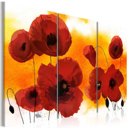 Tableau Fleurs Sunny afternoon and poppies - PD11263-120-80