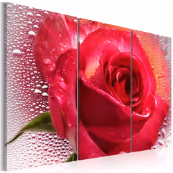 Planete Discount PD11266-120-80, Roses, Vert, Rose, Rouge, Blanc, Panneaux MDF, 1200 mm, 20 mm, 800 mm