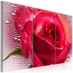 Tableau Fleurs Lady Rose - triptych - PD11266-120-80